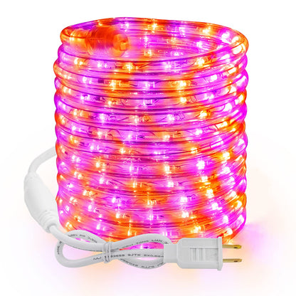 Halloween Rope Lights