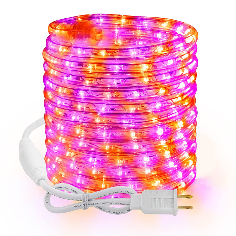 Halloween Rope Lights